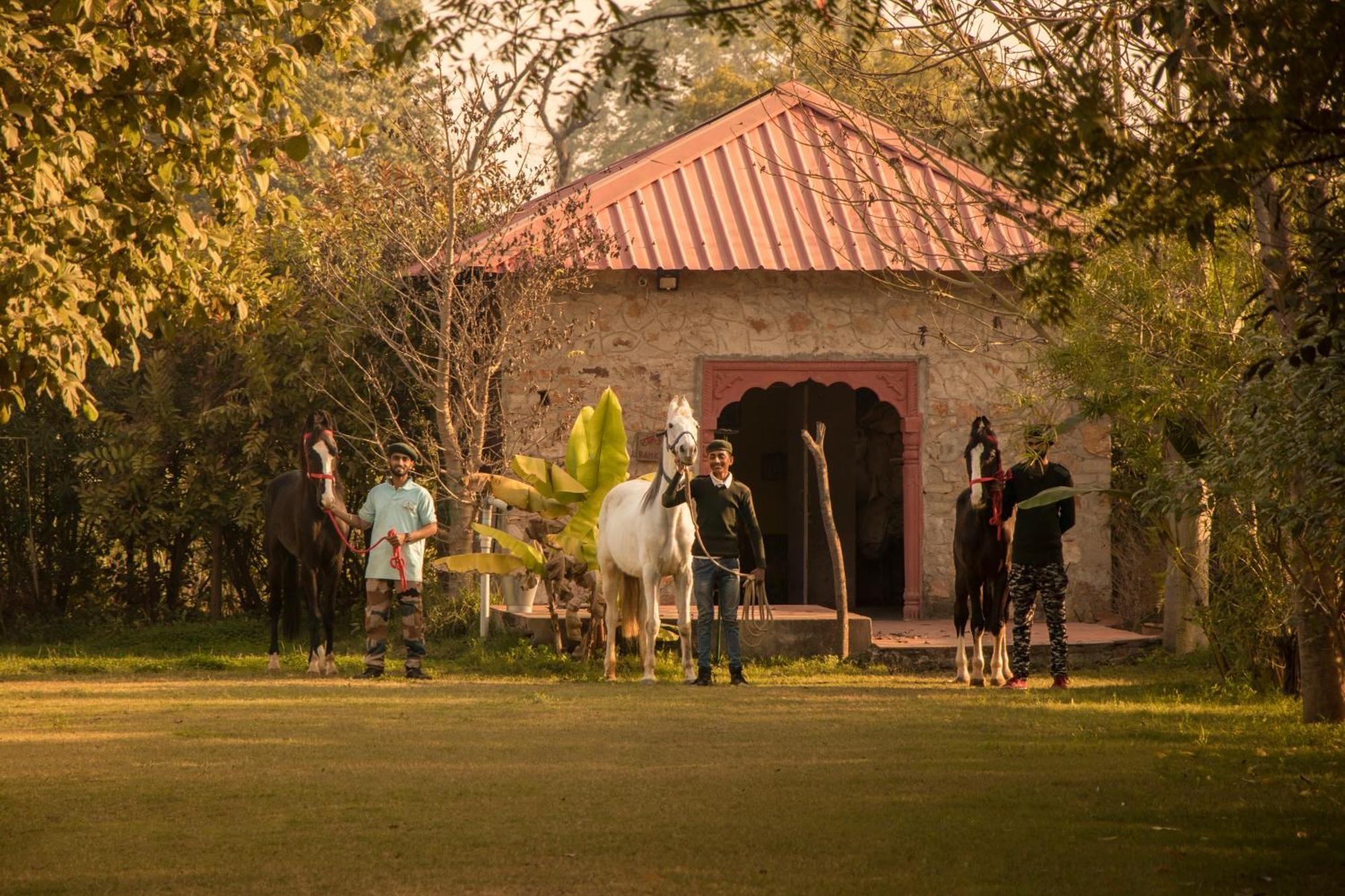 Maa Ashapura Resort Sawai Madhopur Eksteriør billede